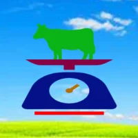 Cattle Body Weight Calculator